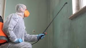  North Massapequa, NY Mold Remediation Pros