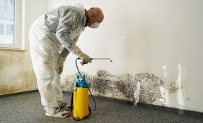 Best Commercial Mold Inspection  in North Massapequa, NY